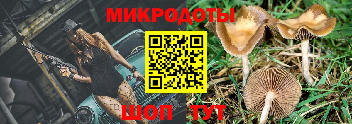 Галлюциногенные грибы мухоморы  Вход с VPN  Галлюциногенные грибы GOLDEN TEACHER  Калач-на-Дону 